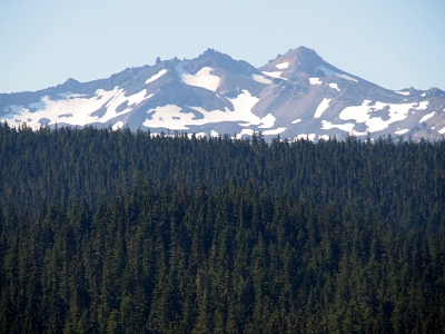 [Grey mountains with snow scattered in multiple valleys on the mountains. A sea of evergreens sits in front of the mountains.]